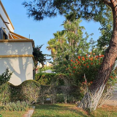 Nice 2 Bedroom Apartment Groundfloor Swimming Pool Tavira Bagian luar foto