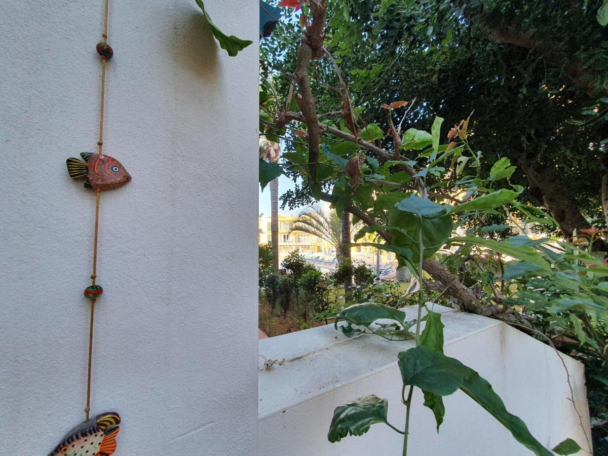 Nice 2 Bedroom Apartment Groundfloor Swimming Pool Tavira Bagian luar foto